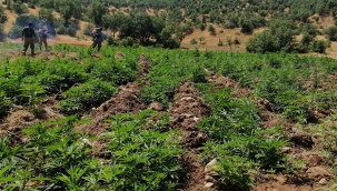 Diyarbakır'da uyuşturucu operasyonu: 1 gözaltı