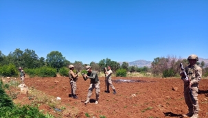 Diyarbakır'da uyuşturucu operasyonu 