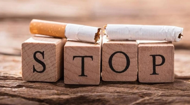 DSÖ: ''Okullarda sigara kullanımı yasaklanmalı''