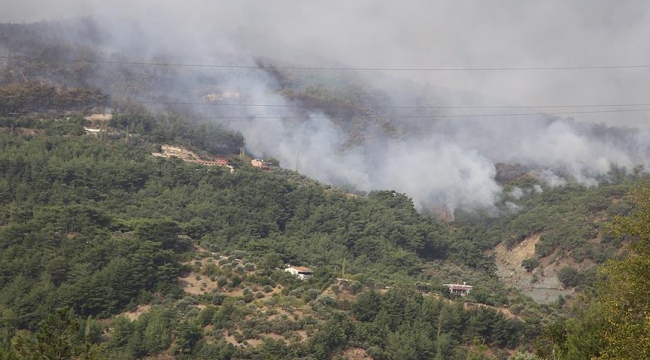 Hatay'ın Samandağ ilçesinde orman yangını
