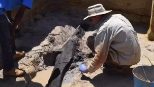 476 bin yıllık ahşap yapılar bulundu