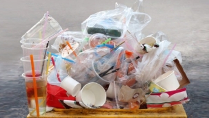İngiltere'de tek kullanımlık plastik yasağı
