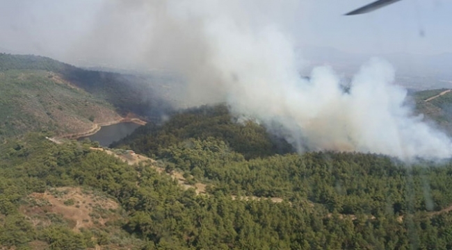 İzmir Torbalı'da orman yangını 