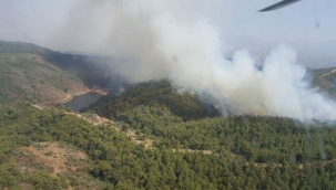 İzmir Torbalı'da orman yangını 