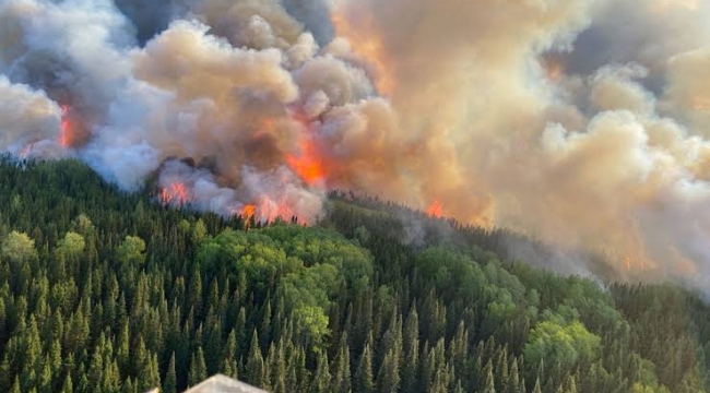 Kanada'da 1.052 orman yangını sürüyor