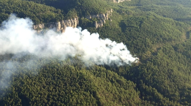 Karabük'ün Ovacık ilçesinde orman yangını