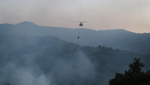 Kocaeli'nin Başiskele ilçesinde orman yangını