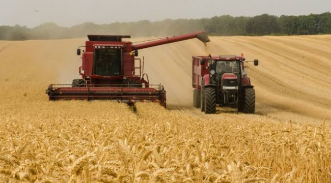 TÜİK'e göre Tarım-ÜFE, Ağustos'ta %3,83 arttı
