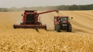 TÜİK'in iddiası: "Tarım-ÜFE Ağustos'ta yıllık %76,35"