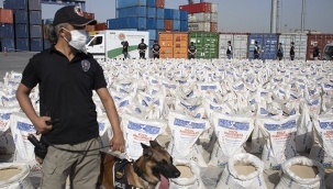 Türkiye, "organize suç endeksi"nde Avrupa lideri!