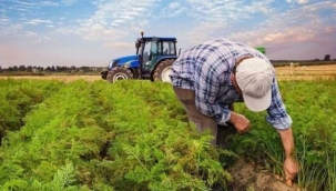 TZOB: "Çiftçilerin %34'ü 65 yaş ve üzerinde"