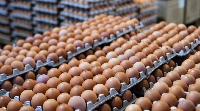 Yumurtanın fiyatı bir yılda ikiye katlandı