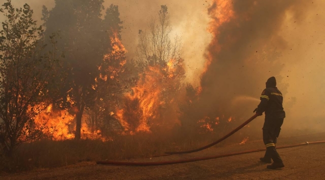 Yunanistan'da orman yangını 14 gündür sürüyor