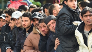 Almanya'da insan kaçakçısı Türklerin sayısı arttı