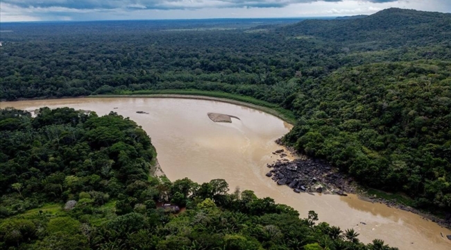 Amazon ormanlarında şiddetli kuraklık sürüyor