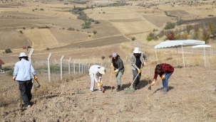 Ankara Savaşı'ndan kalma toplu mezar keşfedildi