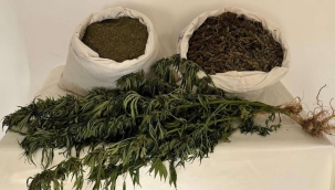 Diyarbakır'da uyuşturucu operasyonu 