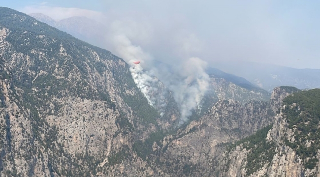 İzmir ve Burdur'da orman yangını