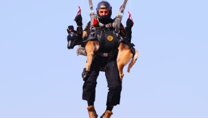 Jandarma köpeği Maça paraşütçü oldu