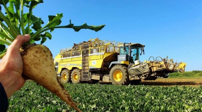 Şeker pancarı alım fiyatı ton başına 1855 TL oldu