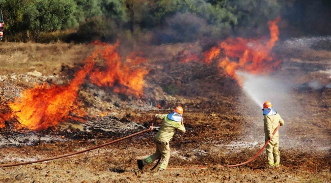 Türkiye'de son 9 ayda 2.197 orman yangını çıktı