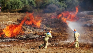 Türkiye'de son 9 ayda 2.197 orman yangını çıktı