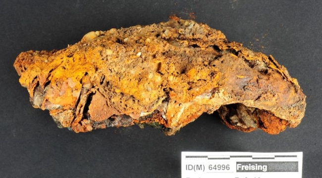 Almanya'da protez parmaklı iskelet bulundu