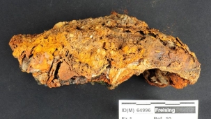 Almanya'da protez parmaklı iskelet bulundu