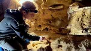 Araştırma: İlk sanatçılar Neandertallermiş