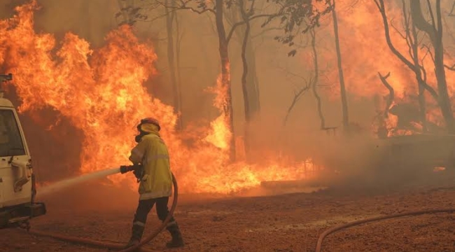 Avustralya'da orman yangını: 10 ev küle döndü