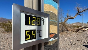 C3S: "2023, dünya tarihindeki en sıcak yıl olacak"