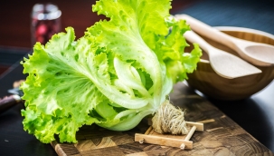 Çinli astronotlar uzayda sebze yetiştirdi