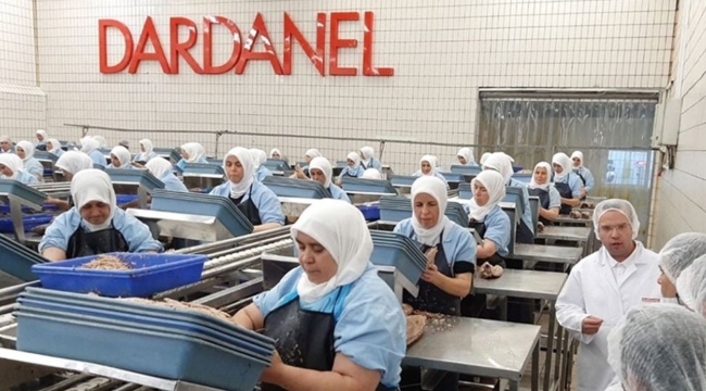Dardanel, geçen yıla göre cirosunu %93 artırdı
