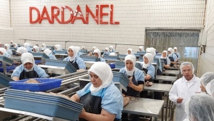Dardanel, geçen yıla göre cirosunu %93 artırdı