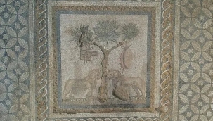 Düzce Konuralp'te aslan mozaikli oda bulundu