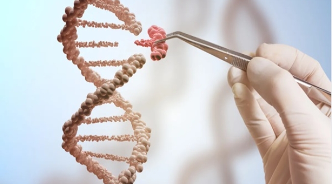 İlk CRISPR gen tedavisi İngiltere'de onaylandı
