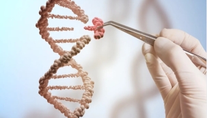 İlk CRISPR gen tedavisi İngiltere'de onaylandı