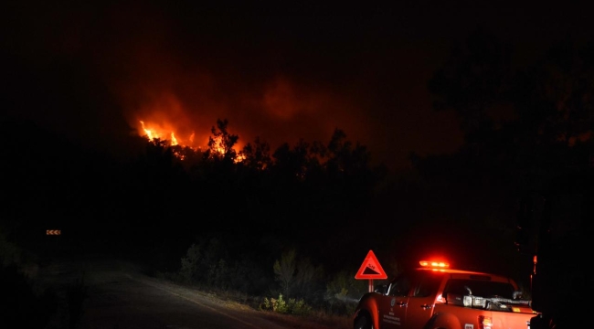 Muğla'nın Marmaris ilçesinde orman yangını