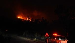 Muğla'nın Marmaris ilçesinde orman yangını