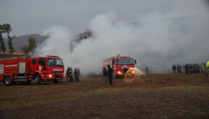 Tokat'ta ahır yangını: 50 koyun telef oldu