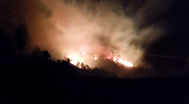 Trabzon'da orman yangını: 17 ev boşaltıldı