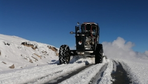 Trabzon ve Rize'de kar yağışı ulaşımı aksattı 
