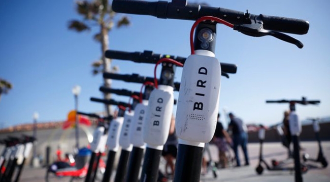 ABD'de scooter kiralama firması Bird iflas etti