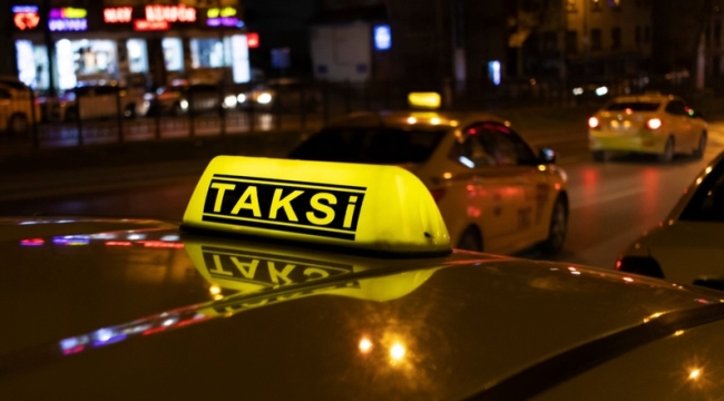 Bakırköy'de taksi şoförü köpek hırsızlığı yaptı