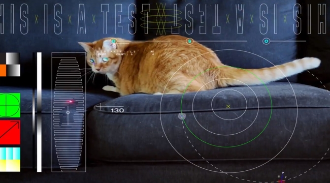 Nasa, 31 milyon km uzaktan kedi videosu gönderdi