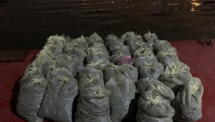 Sarıyer'de 1.5 ton kaçak midye denize döküldü