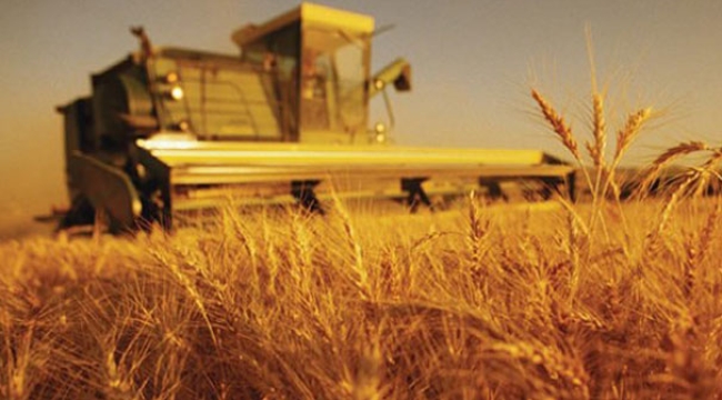 TÜİK'in iddiası: "Tarım-GFE yıllık bazda %40,1 arttı"