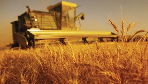 TÜİK'in iddiası: "Tarım-GFE yıllık bazda %40,1 arttı"