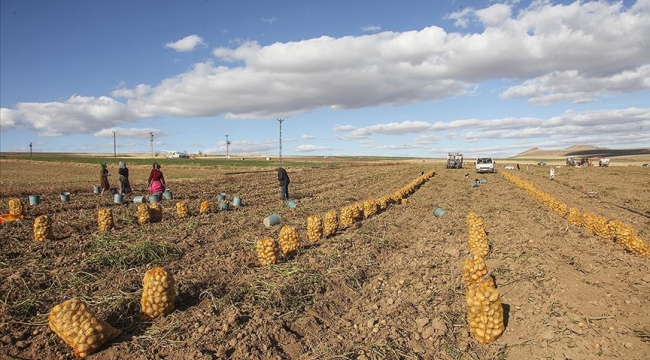 TÜİK'in iddiası: "Tarım-ÜFE Kasım'da yıllık %50,47"