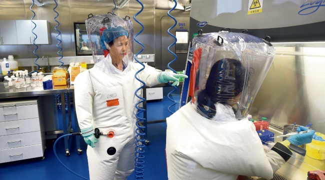 Çinliler daha ölümcül bir corona virüs üretti